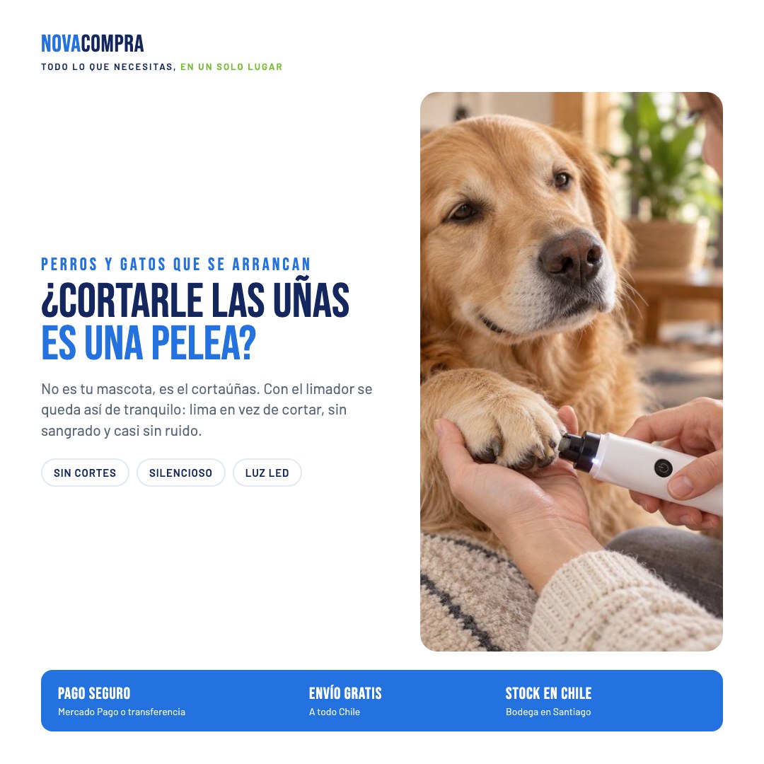 ¿Cortarle las uñas es una pelea? Con el limador se queda tranquilo