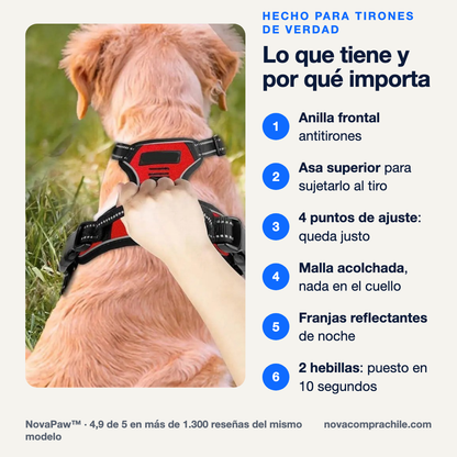 Lo que tiene el arnés y por qué importa