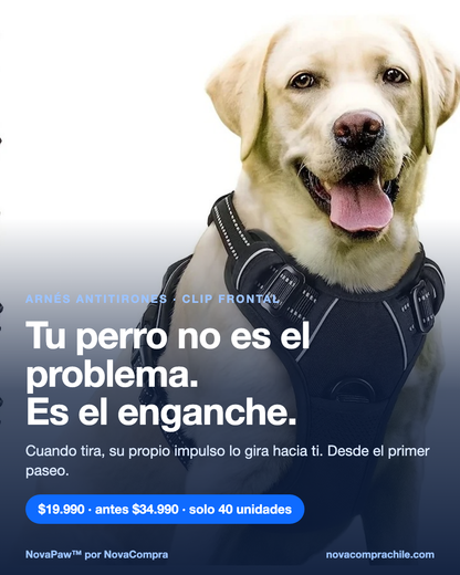 Tu perro no es el problema. Es el enganche. $19.990, antes $34.990