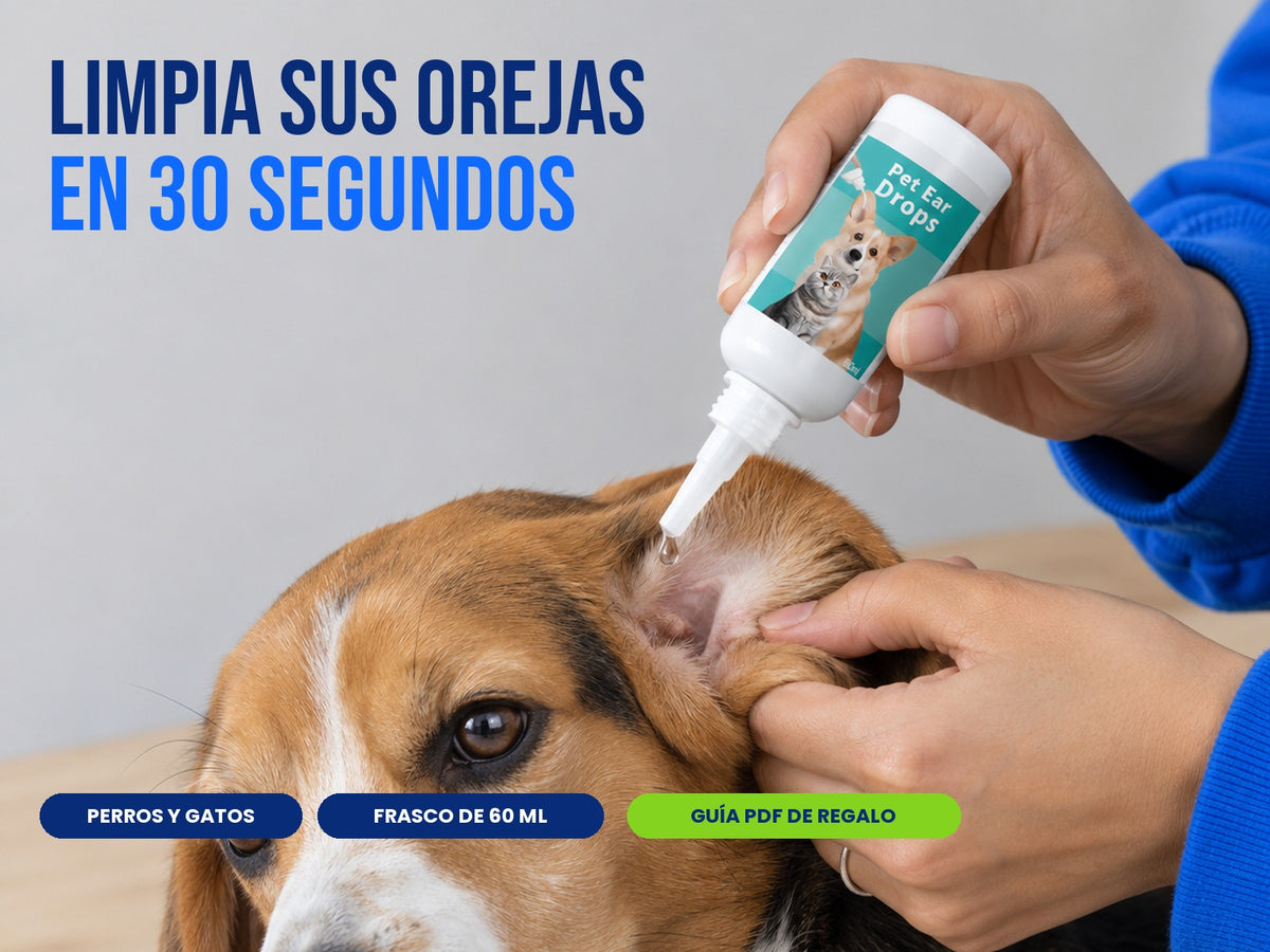 Limpia las orejas de tu perro en 30 segundos con gotas limpiadoras